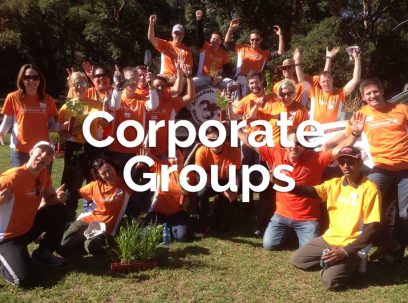 Corporate volunteers