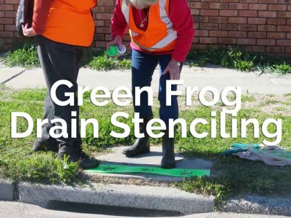 Green Frog Drain Stenciling
